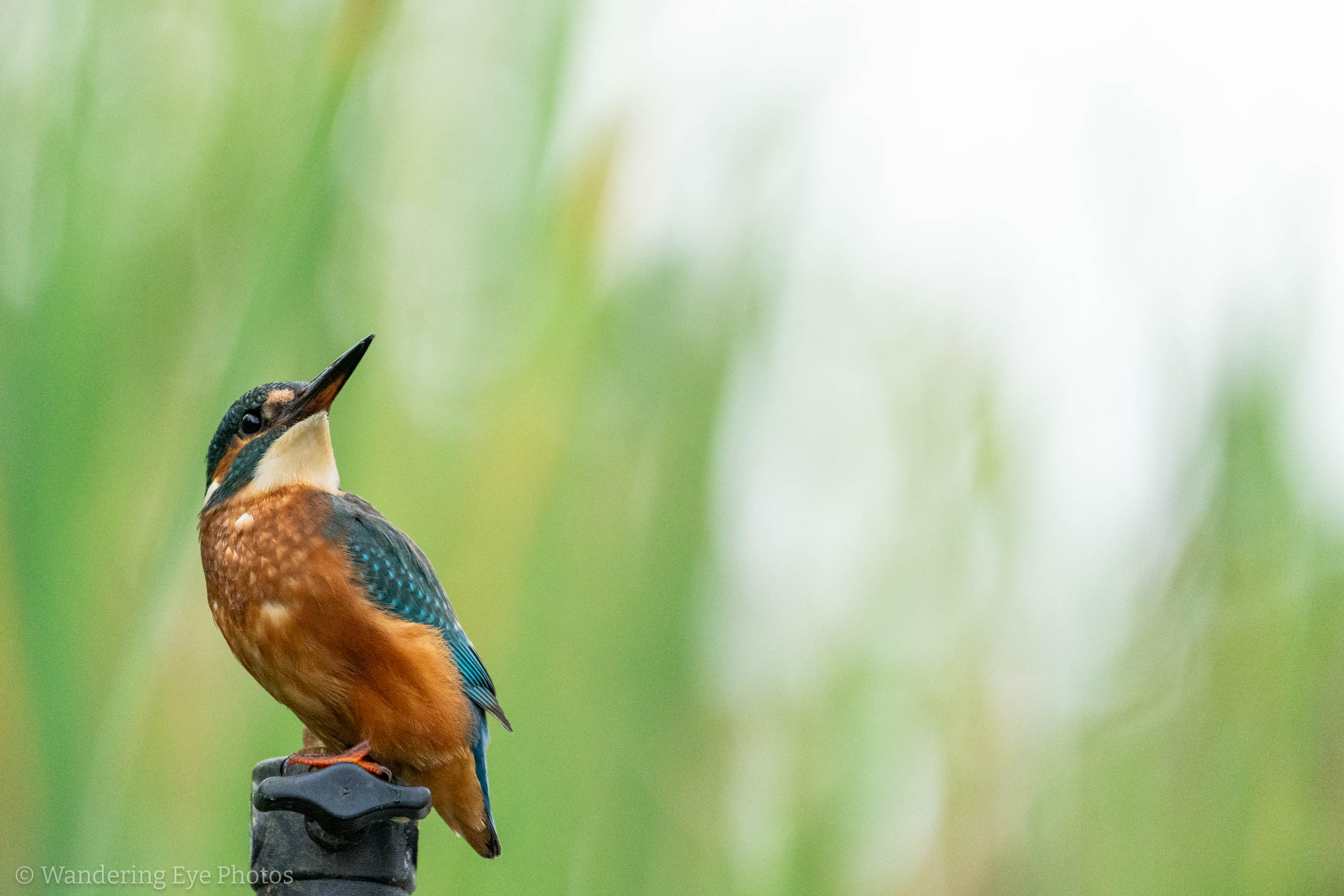 2023 08 16 07.59.49 DSC09071